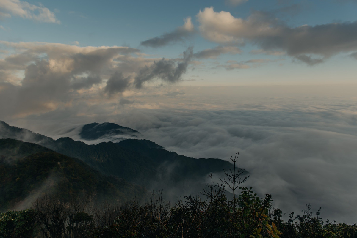 Mùa đông được xem là “thời điểm vàng” để chinh phục Sa Mu. Từ tháng 12 đến tháng 2, mây thường xuất hiện dày đặc, tạo điều kiện lý tưởng cho những chuyến săn mây trên đỉnh núi. Ảnh FB Hieu Vu