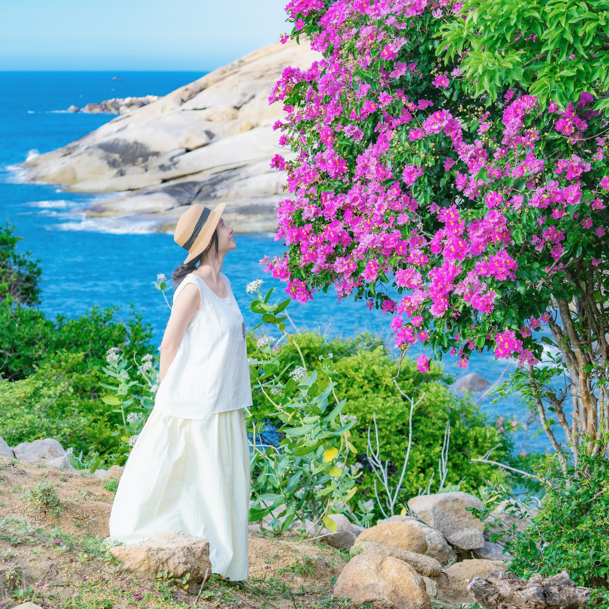 Khi du lịch Mũi Dinh vào mùa hoa bằng lăng, du khách nên chọn thời điểm từ giữa tháng 7 đến đầu tháng 8 – lúc những tán hoa nở rộ tím biếc trên nền trời xanh, tạo nên khung cảnh thơ mộng tuyệt đẹp. Do khu vực này còn khá hoang sơ và đường đi vắng vẻ, du khách cần chuẩn bị kỹ lưỡng: mang theo nước uống, kem chống nắng, kính râm, giày thể thao để tiện di chuyển nếu trekking. Trên hành trình từ Phan Rang đến Mũi Dinh không có nhiều dịch vụ và trạm xăng, nên việc đổ đầy bình xăng và mang theo đồ ăn nhẹ là điều cần thiết. Đặc biệt, hãy giữ gìn cảnh quan thiên nhiên – đừng bẻ hoa hay xả rác bừa bãi, để mỗi mùa hoa về, Mũi Dinh vẫn luôn rực rỡ trong mắt người đến sau. Ảnh Trần Mỹ Duyên