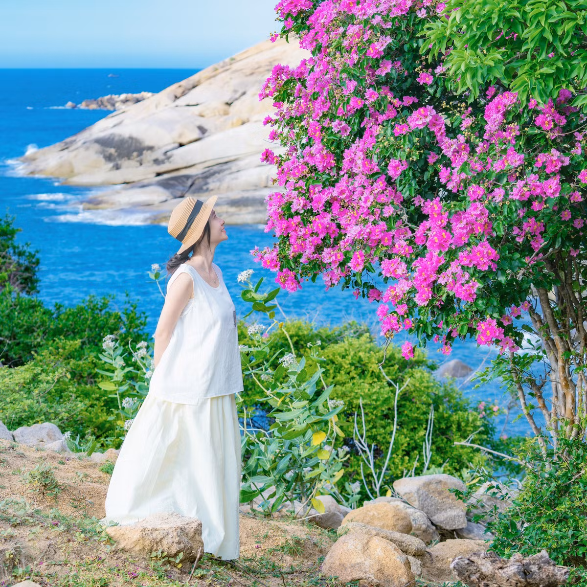 Khi du lịch Mũi Dinh vào mùa hoa bằng lăng, du khách nên chọn thời điểm từ giữa tháng 7 đến đầu tháng 8 – lúc những tán hoa nở rộ tím biếc trên nền trời xanh, tạo nên khung cảnh thơ mộng tuyệt đẹp. Do khu vực này còn khá hoang sơ và đường đi vắng vẻ, du khách cần chuẩn bị kỹ lưỡng: mang theo nước uống, kem chống nắng, kính râm, giày thể thao để tiện di chuyển nếu trekking. Trên hành trình từ Phan Rang đến Mũi Dinh không có nhiều dịch vụ và trạm xăng, nên việc đổ đầy bình xăng và mang theo đồ ăn nhẹ là điều cần thiết. Đặc biệt, hãy giữ gìn cảnh quan thiên nhiên – đừng bẻ hoa hay xả rác bừa bãi, để mỗi mùa hoa về, Mũi Dinh vẫn luôn rực rỡ trong mắt người đến sau. Ảnh Trần Mỹ Duyên