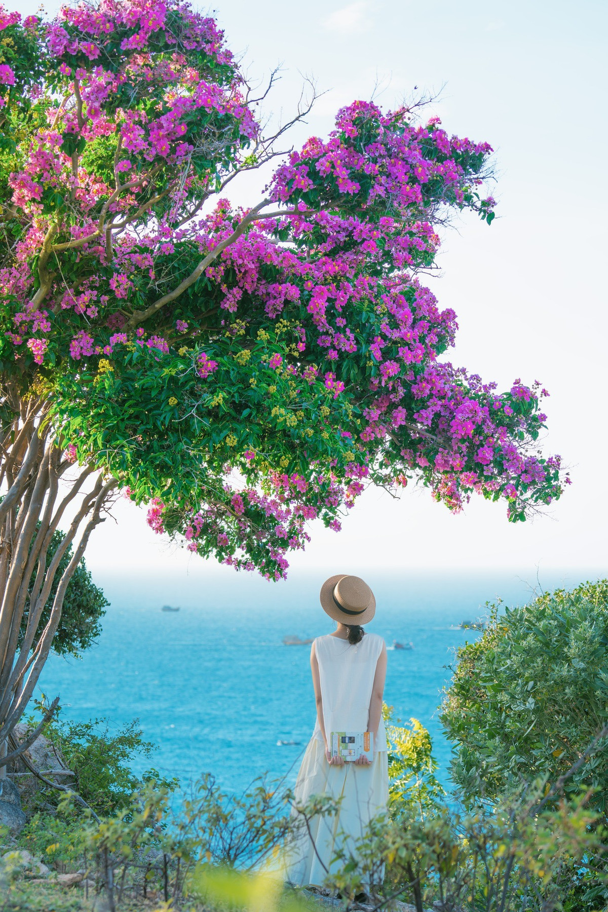 Chỉ cần đi qua những cung đường ven biển DT701, du khách sẽ bắt gặp vô số bụi hoa bằng lăng nở rộ hai bên đường. Màu tím của hoa hòa trong nắng vàng rực rỡ, đối lập với nền trời xanh biếc và biển khơi bao la, tạo nên bức tranh thiên nhiên như bước ra từ phim ảnh. Nhiều bạn trẻ đã tranh thủ thời gian này để check-in sống ảo, lưu giữ khoảnh khắc giữa thiên nhiên đầy chất thơ. Ảnh Trần Mỹ Duyên