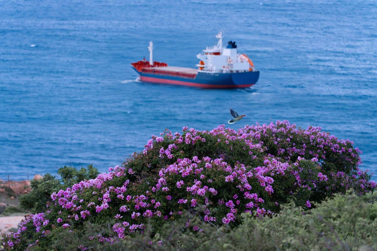 Ngoài ra, nắng ở Ninh Thuận rất gắt nên cần mang theo nước uống, kem chống nắng, kính râm, mũ rộng vành để bảo vệ cơ thể. Những ai có ý định trekking lên hải đăng hoặc khám phá các đồi cát nên mang theo giày thể thao để dễ di chuyển. Ảnh Phong Ba