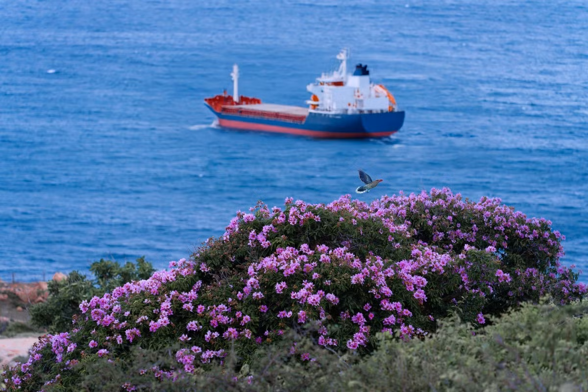 Ngoài ra, nắng ở Ninh Thuận rất gắt nên cần mang theo nước uống, kem chống nắng, kính râm, mũ rộng vành để bảo vệ cơ thể. Những ai có ý định trekking lên hải đăng hoặc khám phá các đồi cát nên mang theo giày thể thao để dễ di chuyển. Ảnh Phong Ba