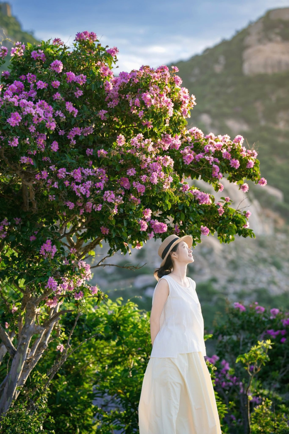 Hiện chưa có tour trọn gói đưa khách đi săn mùa hoa bằng lăng ở Mũi Dinh, nhưng du khách có thể kết hợp tham quan cung đường ven biển Ninh Thuận – Bình Thuận, ghé thăm Vĩnh Hy, Hang Rái rồi di chuyển tiếp đến Mũi Dinh trong hành trình khám phá miền duyên hải Nam Trung Bộ. Ảnh Trần Mỹ Duyên
