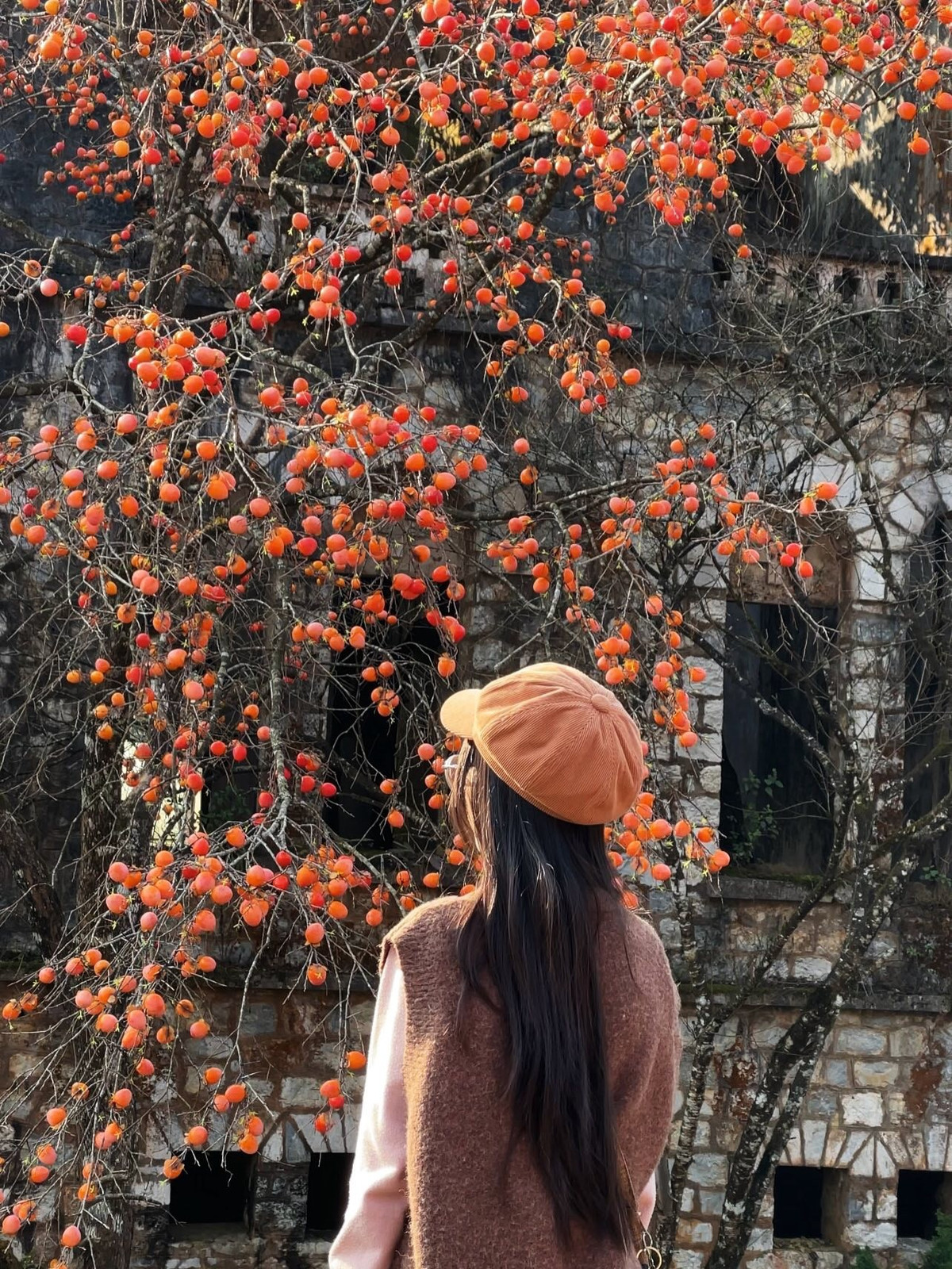 Giữa Sa Pa nhộn nhịp, nơi những con đường luôn rộn ràng bước chân du khách, vẫn còn một góc nhỏ trầm mặc để người ta tìm về với sự tĩnh lặng nguyên sơ. Tu viện cổ Tả Phìn nằm nép mình trong thung lũng cùng tên, như một mảnh ký ức xưa cũ bị bỏ quên giữa đại ngàn, nơi thời gian dường như chậm lại và mọi thanh âm đều trở nên khẽ khàng. Ảnh tetminhduky