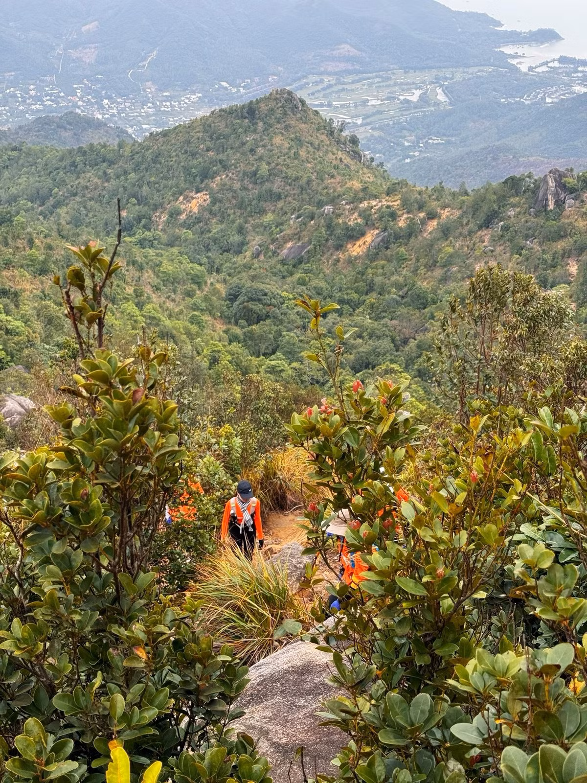 Hành trình trekking bắt đầu từ chân núi, băng qua nhiều dạng địa hình đa dạng: rừng keo rậm rạp, những con suối nhỏ, sườn đá dốc, trảng cỏ cao ngang người. Khi càng lên cao, không khí càng trong lành, mát lạnh, cây cối chuyển dần từ xanh rậm sang thưa thớt, nhường chỗ cho những cụm đá lớn phủ rêu và lau trắng đung đưa trong gió. Ảnh Tố Như