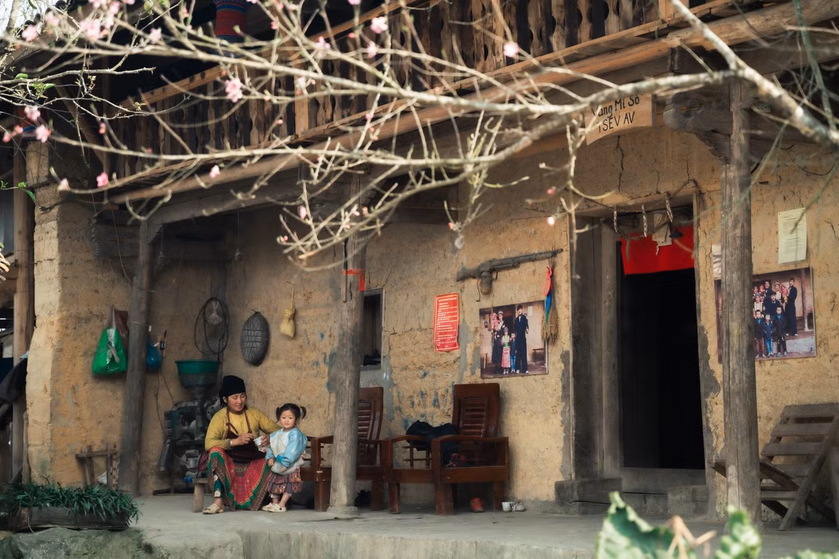 Hiện nay, nhiều công ty lữ hành uy tín cũng đã đưa Thèn Pả vào hành trình khám phá vùng cao nguyên đá. Với lịch trình 3 đến 4 ngày, du khách có thể kết hợp tham quan các điểm nổi bật như Quản Bạ, Yên Minh, Đồng Văn, Lũng Cú và dừng chân nghỉ lại tại làng Thèn Pả để trải nghiệm nếp sống người Mông. Một số đơn vị như Vietravel tổ chức tour trọn gói có hướng dẫn viên bản địa am hiểu văn hóa, phù hợp với nhóm gia đình hoặc du khách muốn tìm hiểu chuyên sâu. Saigontourist cũng khai thác tuyến Hà Giang – Lũng Cú theo hướng nghỉ dưỡng nhẹ nhàng, dịch vụ cao cấp.