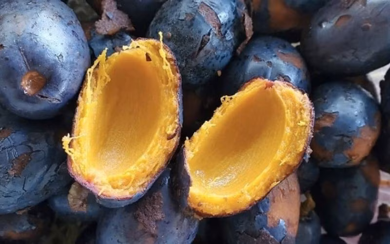 Tuy giàu dinh dưỡng, quả cọ không nên ăn quá nhiều. Khi luộc cần kiểm soát nhiệt độ để tránh làm quả bị cứng và mất vị béo. Những quả có vết nâu đỏ dạng chân chim bên trong thường đã bị sâu hoặc hư hỏng, không nên sử dụng. Phụ nữ mang thai và người thường xuyên bị đầy bụng, khó tiêu cũng nên hạn chế ăn. Việc tiêu thụ quá mức có thể gây áp lực lên gan, thận và làm tăng nguy cơ rối loạn chuyển hóa chất béo do hàm lượng acid béo cao. Ảnh minh họa/ Nguồn internet