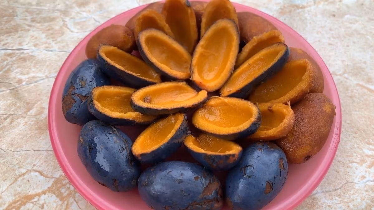 Ngoài các vitamin thiết yếu, quả cọ còn chứa nhiều hợp chất như axit lauric, axit capric, axit oleic, squalene, phenolic cùng các acid béo và khoáng chất khác. Nhờ sự kết hợp của những thành phần này, quả cọ không chỉ có giá trị ẩm thực mà còn góp phần bổ sung dưỡng chất tự nhiên cho cơ thể. Ảnh minh họa/ Nguồn internet