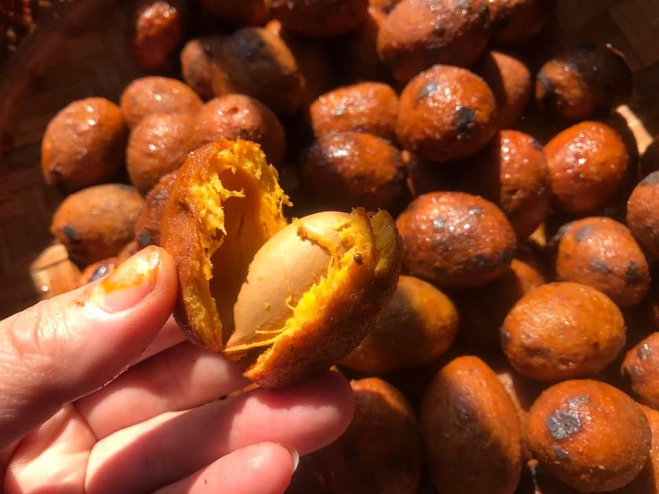 Bên cạnh đó, axit lauric và axit capric trong quả cọ được biết đến với đặc tính kháng khuẩn tự nhiên, có thể giúp ức chế sự phát triển của một số vi khuẩn có hại. Trong kinh nghiệm dân gian, quả cọ đôi khi được sử dụng như một thực phẩm có tính hỗ trợ sát khuẩn nhẹ. Ảnh minh họa/ Nguồn internet