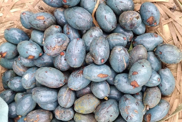 Theo các tài liệu dinh dưỡng, quả cọ nổi bật nhờ hàm lượng vitamin E cao, đặc biệt là dạng tocotrienol một dạng có hoạt tính sinh học mạnh, được đánh giá có khả năng chống oxy hóa hiệu quả. Bên cạnh đó, quả cọ còn chứa lượng tiền vitamin A dồi dào, hỗ trợ tốt cho thị lực và làn da. Thành phần chất béo trong quả khá đa dạng, gồm cả chất béo bão hòa và không bão hòa, giúp cung cấp nguồn năng lượng đáng kể cho cơ thể. Ảnh minh họa/ Nguồn internet