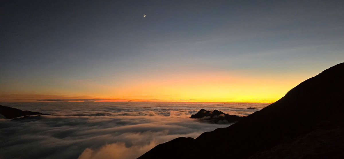ເພື່ອສຳຜັດກັບການເດີນທາງ Ta Chi Nhu ຢ່າງເຕັມສ່ວນ, ນັກທ່ອງທ່ຽວສາມາດເລືອກເອົາການທ່ອງທ່ຽວ 2 ວັນ 1 ຄືນ ຫຼື 3 ວັນ 2 ຄືນ ຈາກບໍລິສັດທ່ອງທ່ຽວທີ່ມີຊື່ສຽງ. ບາງການທ່ອງທ່ຽວທີ່ໂດດເດັ່ນລວມມີການຜະຈົນໄພ Ta Chi Nhu - Ong To Adventure, ດ້ວຍການເດີນທາງຈາກ Mo Chi ຜ່ານສາຍນ້ ຳ, ປ່າໄມ້ໄຜ່, ພູ Ba Cay ໄປຫາບ່ອນພັກຜ່ອນທີ່ມີຄວາມສູງ 2,400 ແມັດ, ໃນມື້ຕໍ່ມາຈະເອົາຊະນະພູຜາປ່າດົງ, ລ່າສັດເມກແລະຕາເວັນຕົກ. ຮູບພາບພວກເຮົາໄປໃສ?