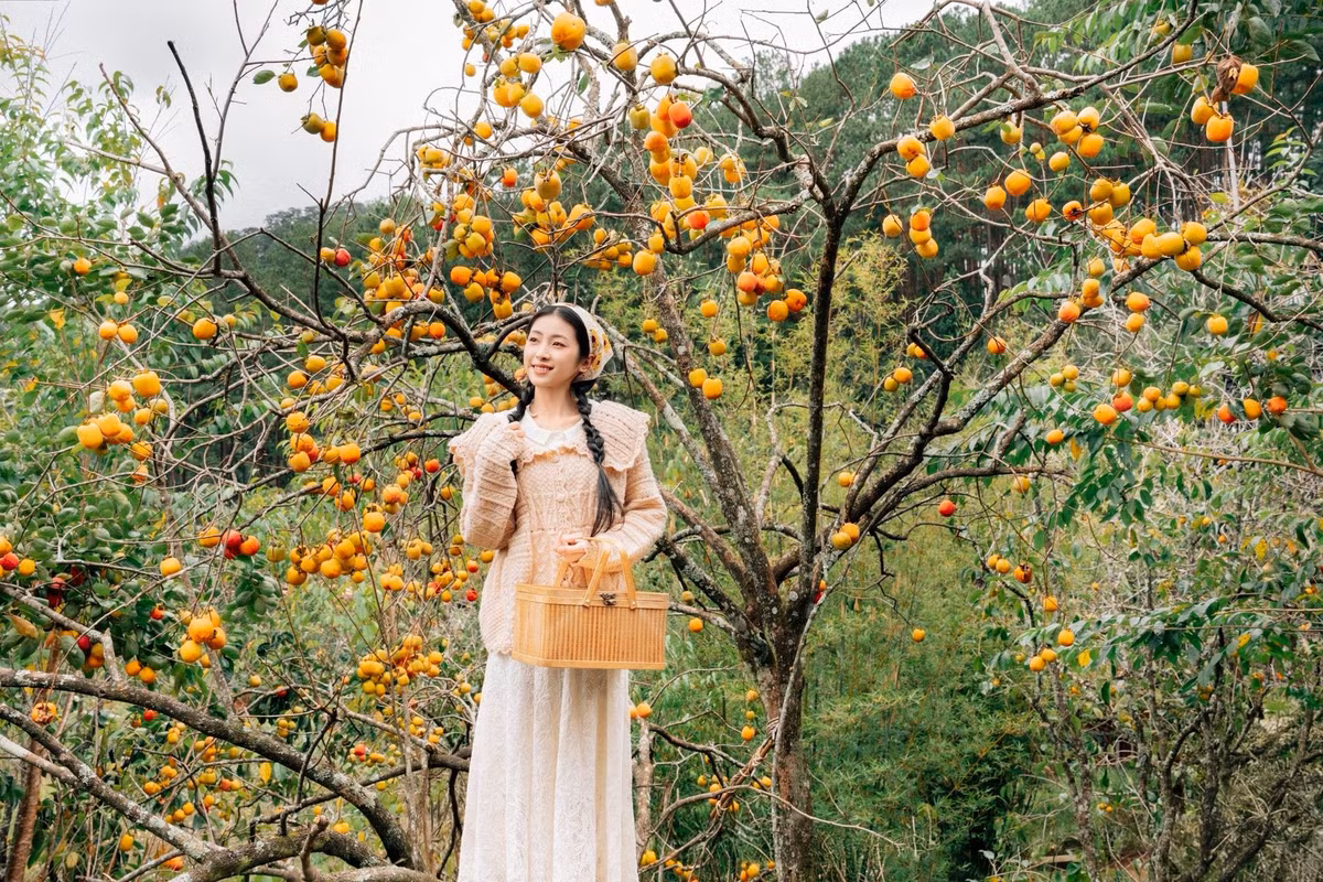 Thời tiết Đà Lạt đôi khi 'ẩm ương' bởi những cơn mưa bất chợt, do đó mang theo áo mưa mỏng hay ô gấp gọn cũng là điều cần thiết. Ảnh Đồng Ngô