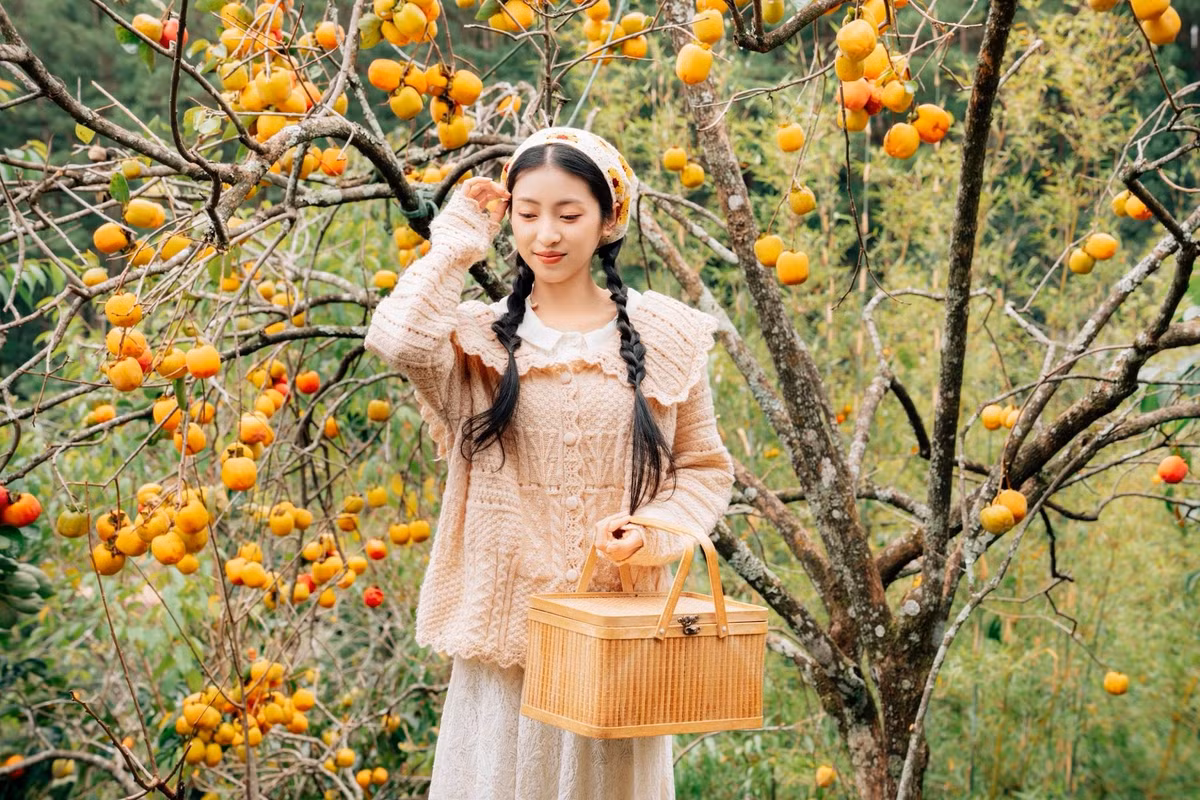 Khi Đà Lạt bước vào những ngày thu se lạnh, khung cảnh thành phố bỗng trở nên thơ mộng hơn bởi sắc cam ngọt ngào của những vườn hồng đang độ chín rộ. Ảnh Đồng Ngô