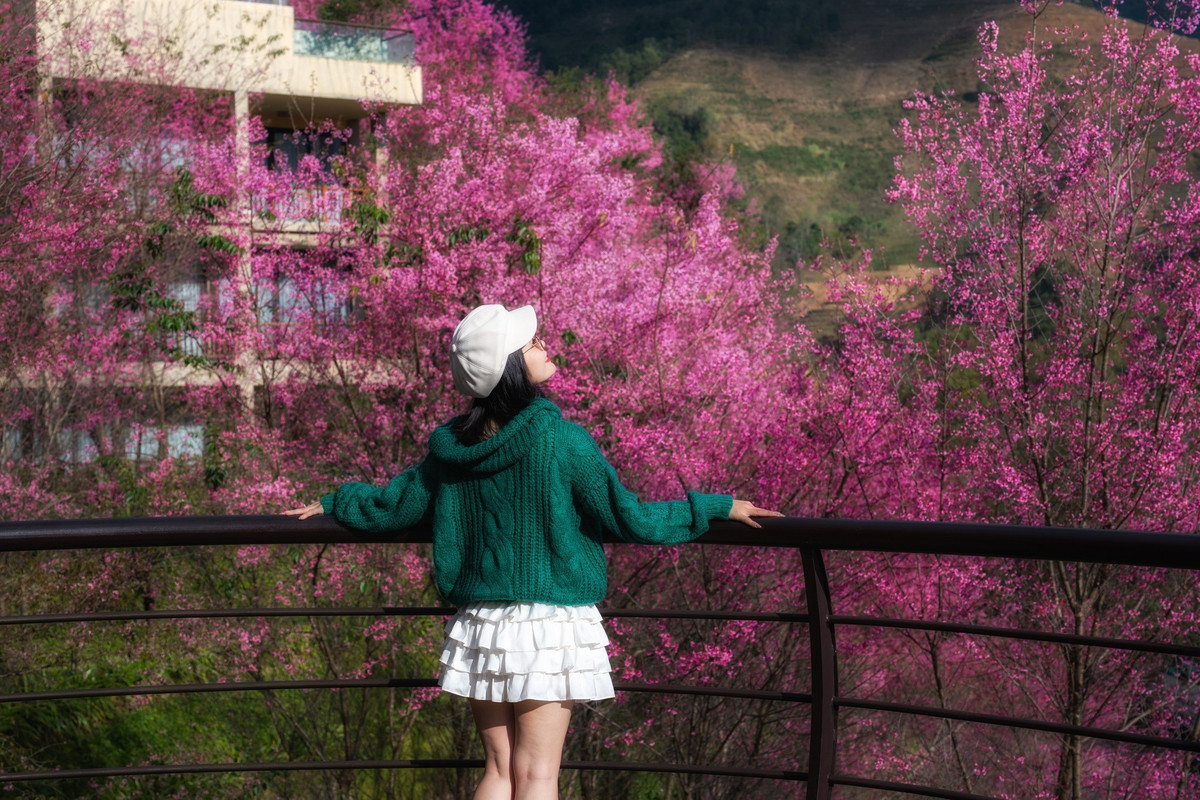 Hoa Tớ Dày loài hoa gắn với cây sơn tra rừng thường nở từ cuối tháng 12 đến trung tuần tháng 1. Không rực rỡ, ồn ào, hoa bung nở lặng lẽ trên những triền đồi cao, ven đường hoặc trong các bản làng người Mông, tạo nên khung cảnh mộc mạc, rất đặc trưng của Mù Cang Chải mùa xuân sớm. Ảnh Lê Huy Hoàng