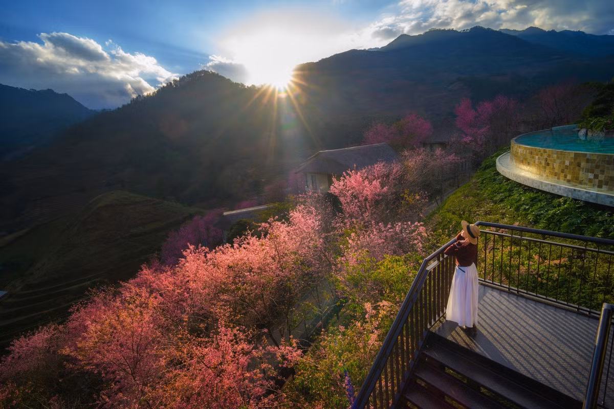 Theo ghi nhận của du khách Quốc Toản đi trong dịp 1–2/1, dù một số điểm hoa đã bắt đầu tàn, nhiều khu vực tại Mù Cang Chải như trung tâm huyện, Háng Gằng hay Trống Tông vẫn còn hoa nở đẹp, thích hợp cho những chuyến “đổi gió” ngắn ngày từ Hà Nội. Ảnh Lê Huy Hoàng