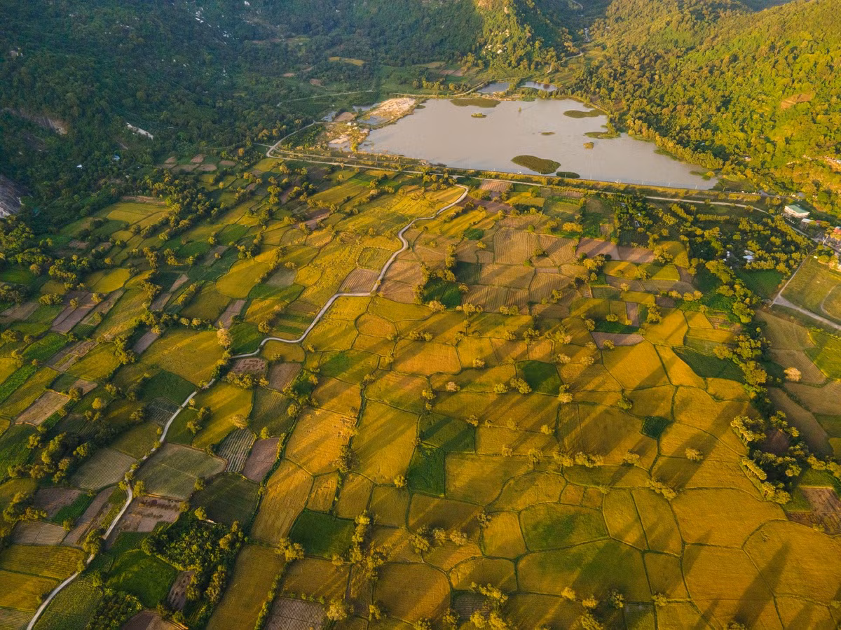 Thời điểm đẹp nhất để ngắm Tà Pạ là lúc bình minh vừa lên hoặc khi hoàng hôn buông xuống. Buổi sớm, ánh nắng nhẹ xuyên qua hàng thốt nốt làm mặt ruộng ánh lên lấp lánh. Mùi lúa chín hòa cùng gió núi khiến du khách cảm nhận rõ nét sự tươi mới và thanh sạch của không gian miền sông nước Tây Nam Bộ.