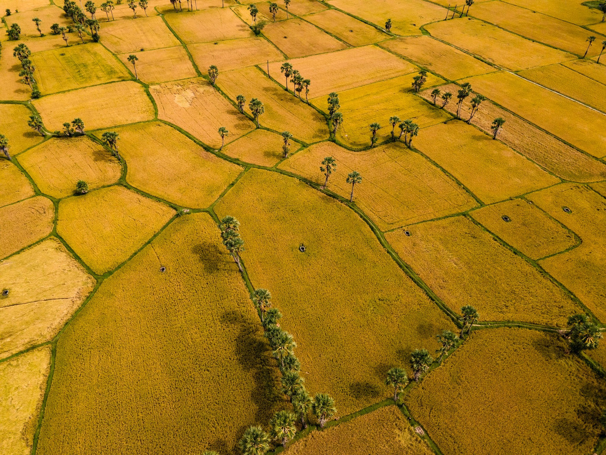 कई पर्यटक कहते हैं कि वे सड़क किनारे की छोटी दुकानों पर रुककर बातचीत करना पसंद करते हैं और स्थानीय लोगों से बे नुई क्षेत्र में फसलों, त्योहारों और दैनिक जीवन के बारे में बातें सुनना पसंद करते हैं।