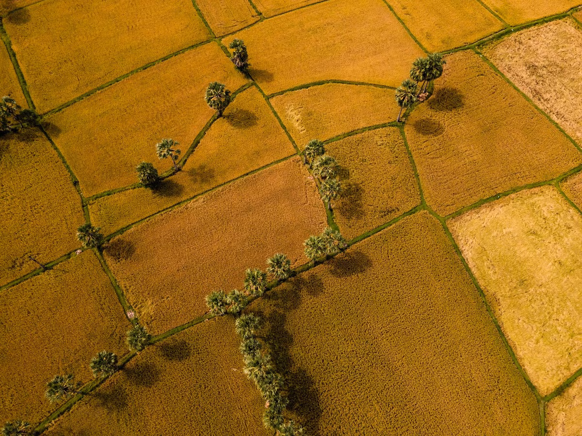 Không chỉ sở hữu cảnh quan đặc sắc, Tri Tôn còn hấp dẫn du khách bởi đời sống văn hóa của cộng đồng Khmer sinh sống lâu đời tại đây. Nét hiền hòa, nụ cười thân thiện và sự mến khách của người dân địa phương khiến hành trình thêm phần ấm áp.