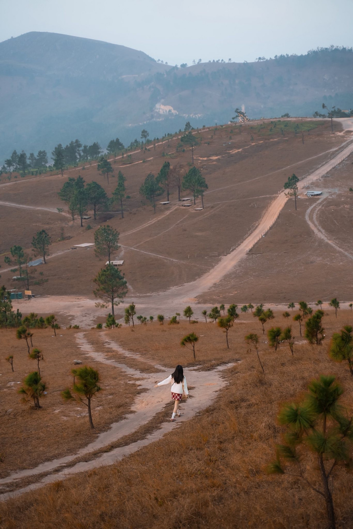 Từ xa nhìn lại, đỉnh Phượng Hoàng hiện lên như một bức tranh sơn dầu khổng lồ, nơi những mảng đồi uốn lượn được bao phủ bởi cỏ cháy trải dài bất tận. Dưới ánh nắng mặt trời, thảm cỏ khô lấp lánh, tạo cảm giác như cả ngọn đồi được dát vàng, vừa rực rỡ vừa dịu dàng.