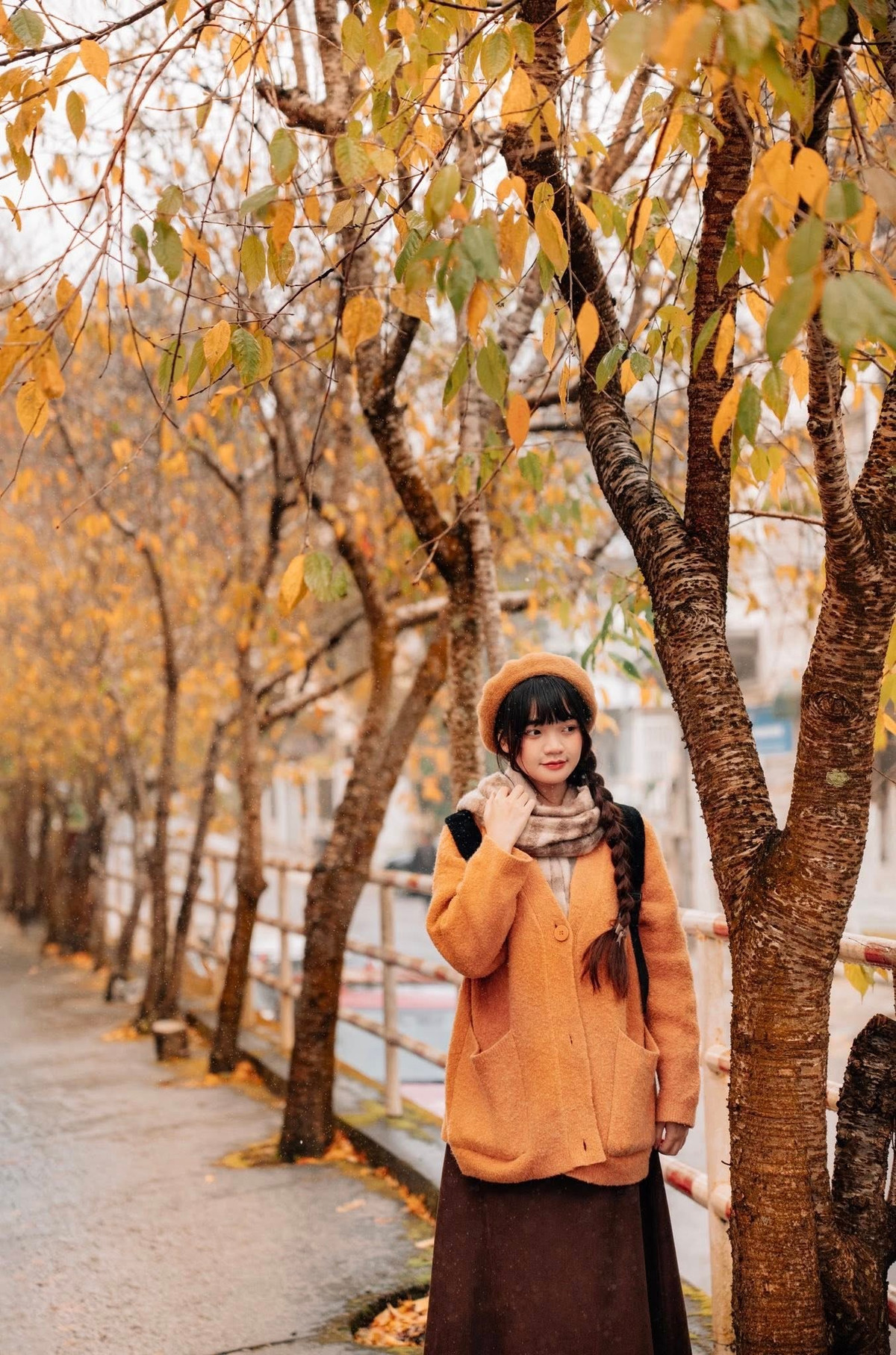 Từ màu xanh quen thuộc, lá dần ngả vàng rồi chuyển sang đỏ thẫm, nổi bật dưới ánh nắng nhẹ, tạo nên những bức tranh thiên nhiên đầy chất thơ. Ảnh Đồng Ngô