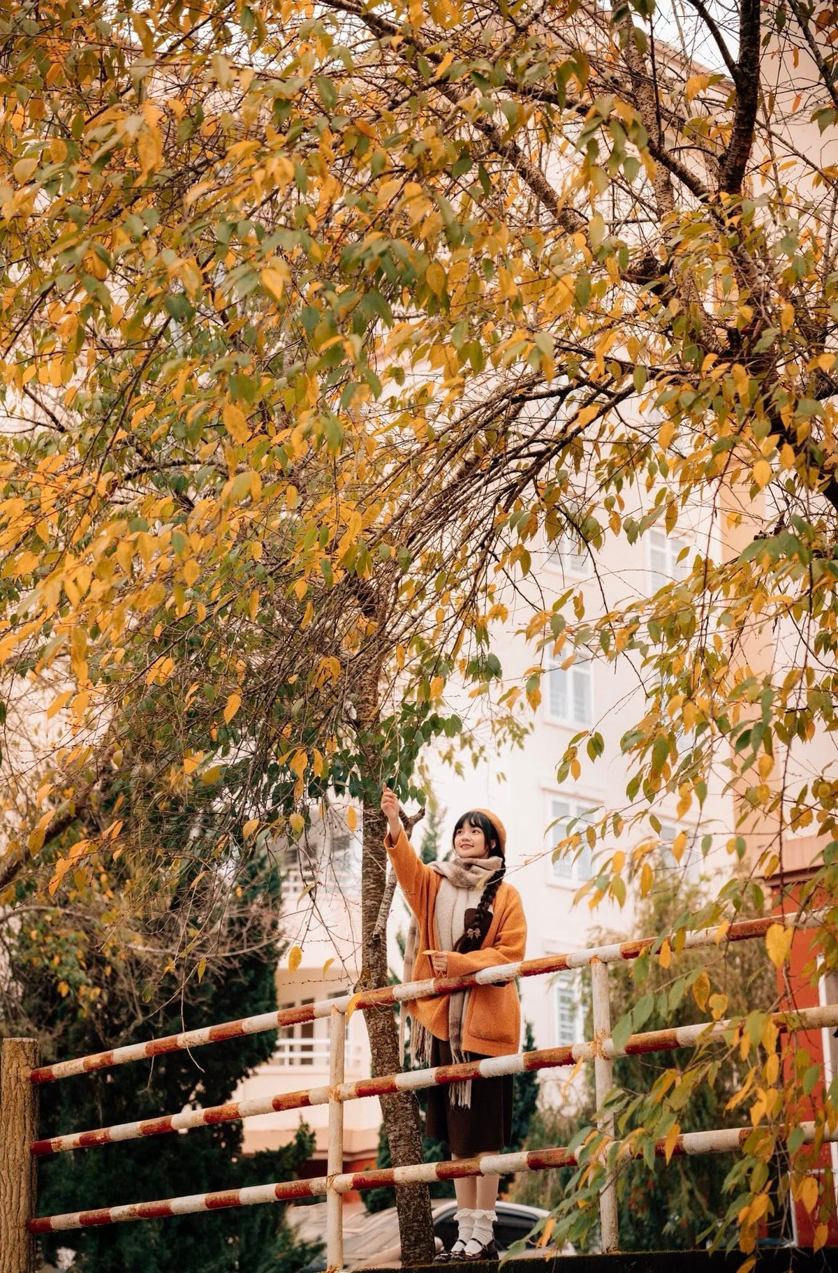 Nhiều du khách không giấu được sự thích thú khi ghi lại những khoảnh khắc dạo bước giữa hàng lá rụng, nơi mỗi góc nhỏ đều có thể trở thành một khung hình nghệ thuật. Ảnh Đồng Ngô