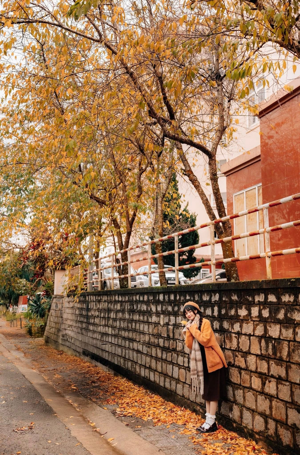 Đà Lạt bước vào thời điểm đẹp nhất năm khi cao nguyên chìm trong gam màu ấm áp của lá vàng, lá đỏ. Ảnh Đồng Ngô