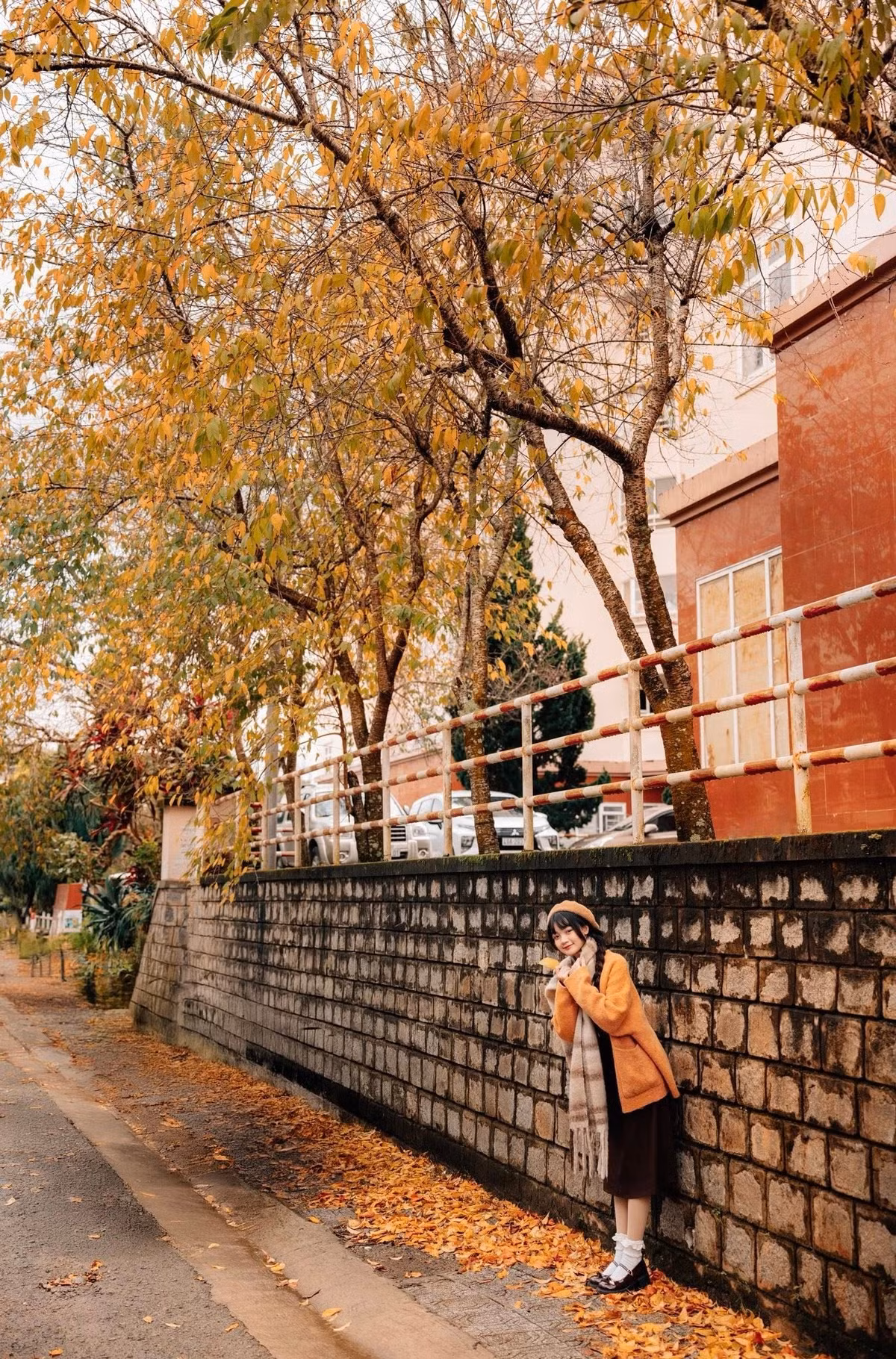 Đà Lạt bước vào thời điểm đẹp nhất năm khi cao nguyên chìm trong gam màu ấm áp của lá vàng, lá đỏ. Ảnh Đồng Ngô