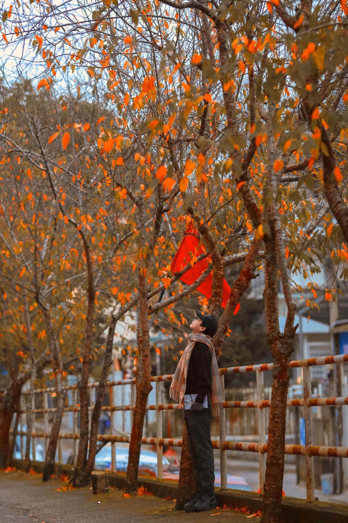 Dưới ánh nắng, từng mảng màu rực rỡ nổi bật giữa nền rừng xanh thẫm, mang đến cảm giác vừa bình yên vừa choáng ngợp. Ảnh Nguyễn Tiến Đạt