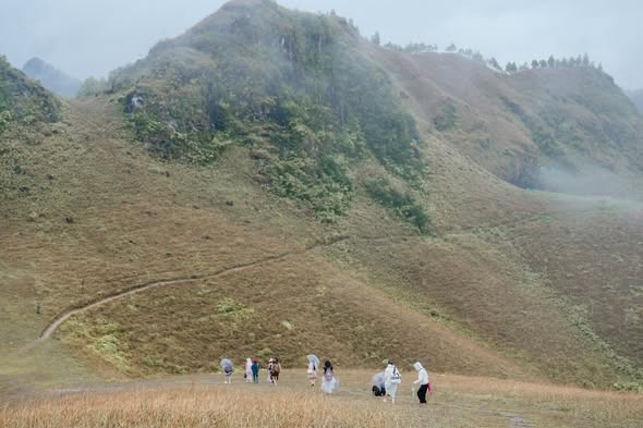 Khi những triền cỏ chuyển sang sắc vàng óng ả, Ba Quáng hiện lên như một thảo nguyên thu nhỏ. Từng lớp cỏ cháy đan xen, uốn lượn theo sườn đồi, phía xa là dãy núi nối tiếp nhau trong làn sương mỏng. Không gian rộng mở, yên tĩnh và nguyên sơ mang đến cảm giác tách biệt hoàn toàn với nhịp sống ồn ào nơi phố thị. Ảnh Thu Quỳnh
