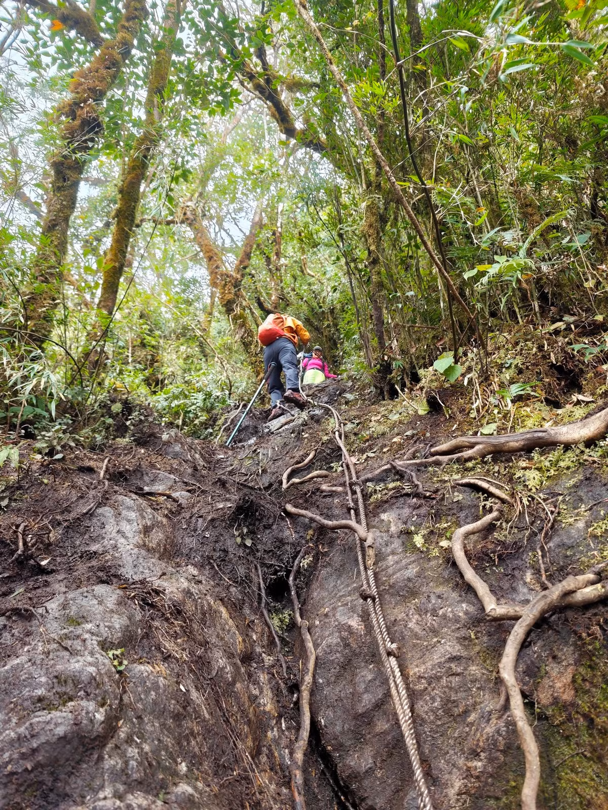 Sau khi chinh phục đỉnh vào khoảng trưa, trekker bắt đầu hành trình xuống bản kéo dài nhiều giờ. Khi trời ẩm hoặc mưa, đá và thảm cỏ trở nên cực kỳ trơn, đòi hỏi sự tập trung cao độ cho đến những bước cuối cùng.