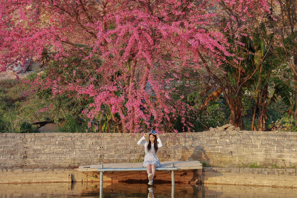 Băng ghế nhỏ bên mặt nước trở thành điểm nhấn đặc biệt, nơi du khách dừng chân nghỉ ngơi, tận hưởng không khí trong lành và ghi lại những khung hình nhẹ nhàng, giàu cảm xúc.