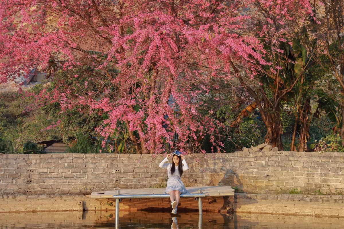 Băng ghế nhỏ bên mặt nước trở thành điểm nhấn đặc biệt, nơi du khách dừng chân nghỉ ngơi, tận hưởng không khí trong lành và ghi lại những khung hình nhẹ nhàng, giàu cảm xúc.