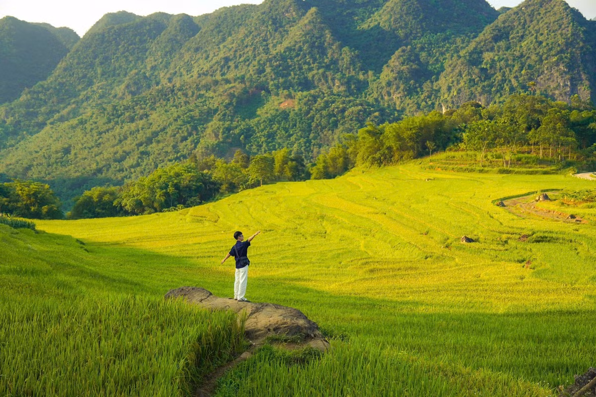 Đây là thời gian lý tưởng để du khách chiêm ngưỡng vẻ đẹp hoang sơ của vùng đất này, đồng thời tham gia vào các hoạt động như trekking qua những con đường mòn giữa cánh đồng lúa, chụp ảnh lưu lại những khoảnh khắc tuyệt đẹp, hay khám phá cuộc sống của người dân địa phương. Ảnh Văn Phong
