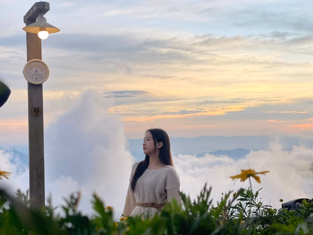 Nhìn từ trên cao, biển mây trắng xóa như lớp khăn voan mềm mại, cuốn quanh từng ngọn núi, khiến khung cảnh trở nên siêu thực. Ảnh Cà phê Đỉnh Gió