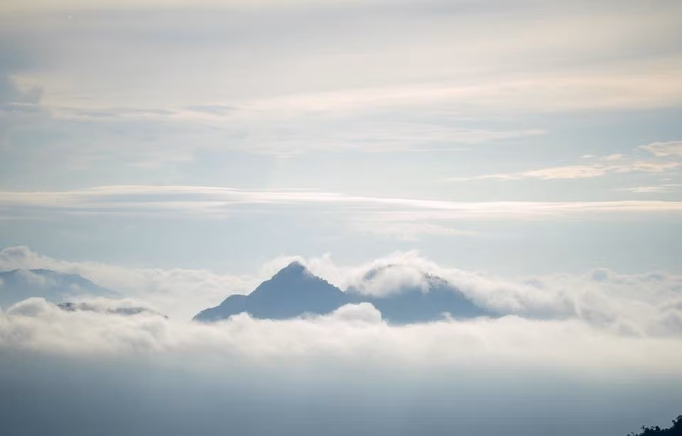 Vào mùa hè, nhiệt độ tại đây chỉ dao động từ 20-24 độ C. Tiết trời mát mẻ, không khí trong lành, ban đêm se lạnh nhẹ, rất thích hợp để cắm trại, dã ngoại hay đơn giản là nằm trên thảm cỏ, lắng nghe tiếng suối róc rách và chim rừng líu lo. Ảnh Quang Kiên