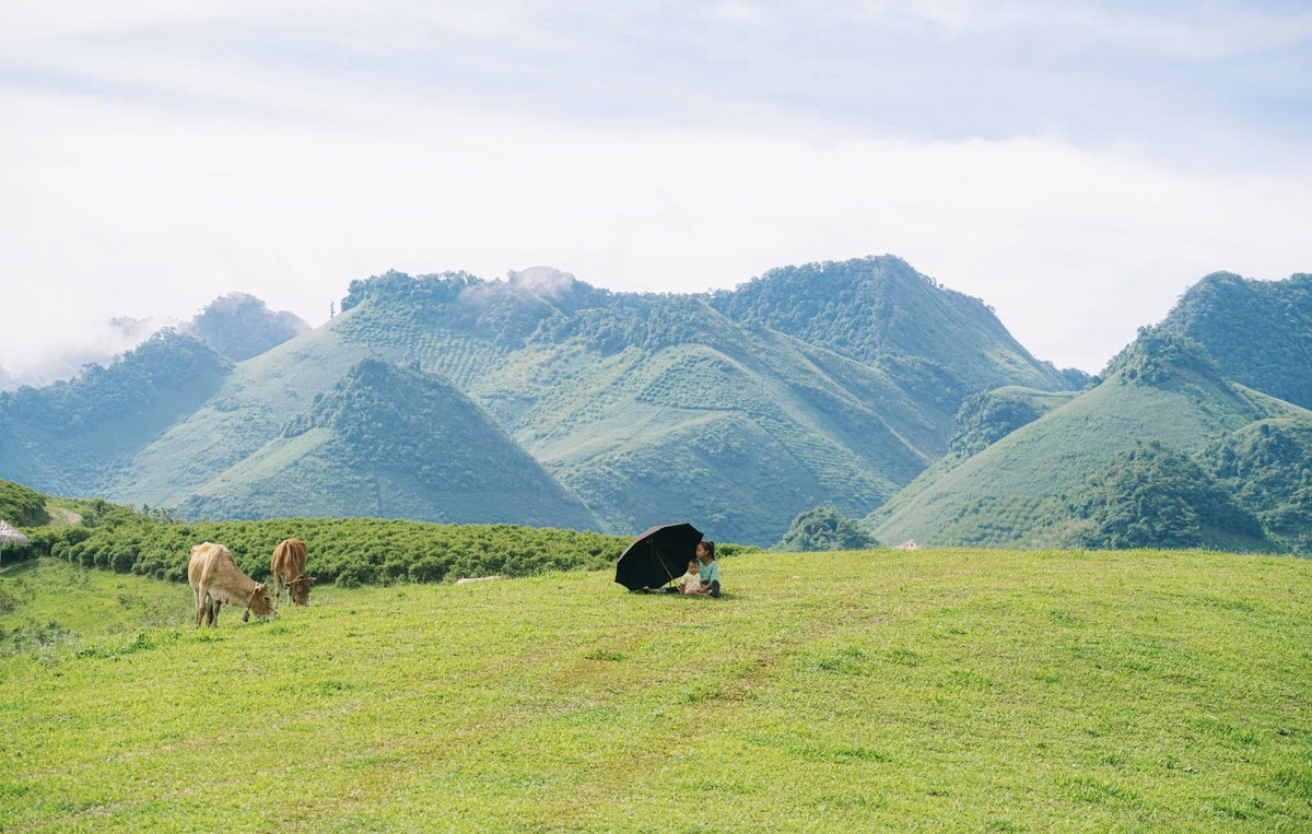 View - Suối Bon Sơn La điểm đến mới cho dân mê check-in, cắm trại giữa mây trời | Báo Tri thức và Cuộc sống - TIN TỨC PHỔ BIẾN KIẾN THỨC 24H