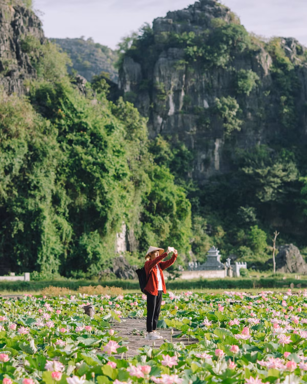 Không chỉ dừng ở vẻ đẹp, mùa sen Hang Múa còn mang đến cho du khách nhiều trải nghiệm thú vị: chụp ảnh nghệ thuật, thưởng thức trà sen, hạt sen tươi ngay tại chỗ, hay đơn giản là dạo bộ hít thở hương thơm nhẹ nhàng của hoa giữa không gian núi non thanh bình. Ảnh Bùi Quang Thụy