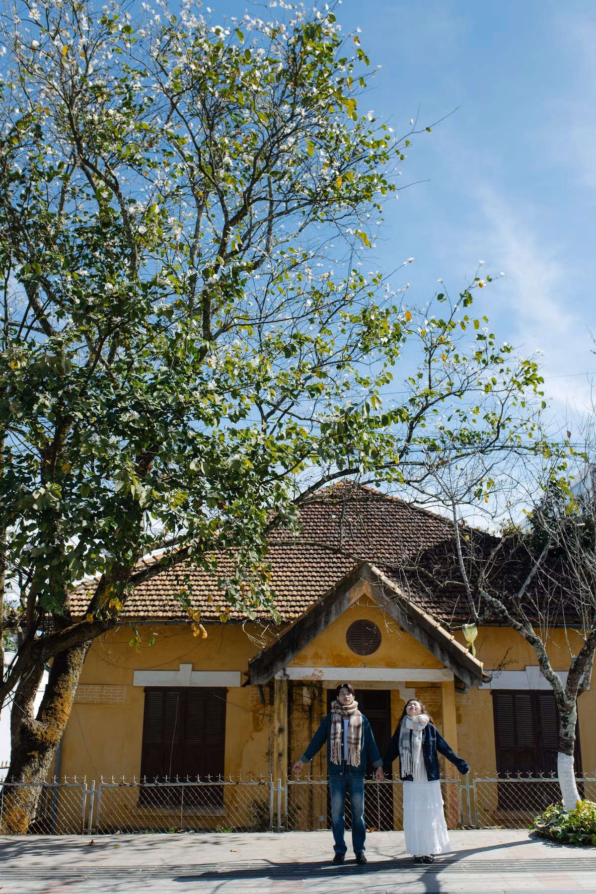 Không ồn ào, không phô trương, mùa hoa ban lặng lẽ đi qua phố núi, để lại trong lòng du khách một dư âm nhẹ nhàng, tinh khôi và đầy thương nhớ. Ảnh Đạt Võ