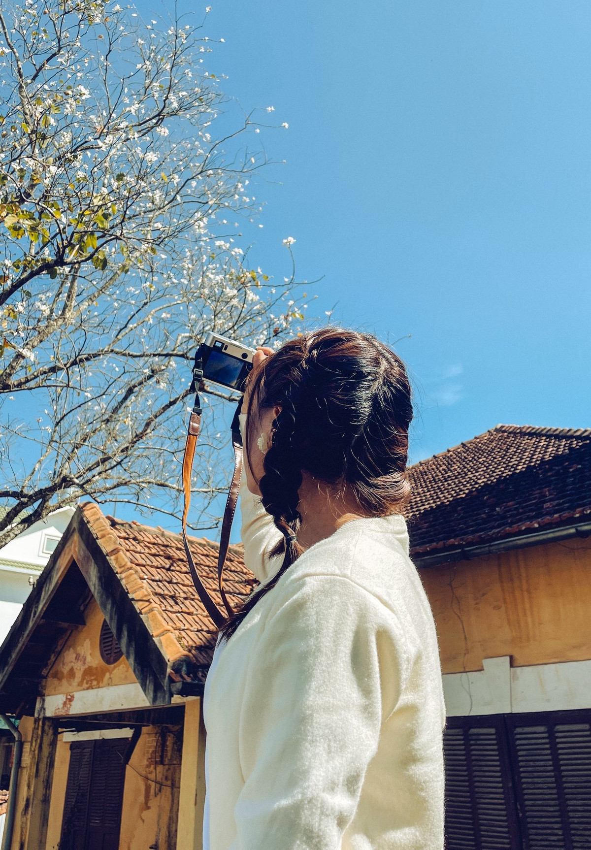 Tại Đà Lạt, hoa ban nở từ đầu năm và kéo dài đến khoảng cuối tháng 4. Tuy nhiên, thời điểm đẹp nhất là từ tháng 2 đến tháng 3 khi thời tiết mát lành, nắng vừa đủ và không khí xuân vẫn còn đọng lại trên từng con dốc. Ảnh Thu Thảo