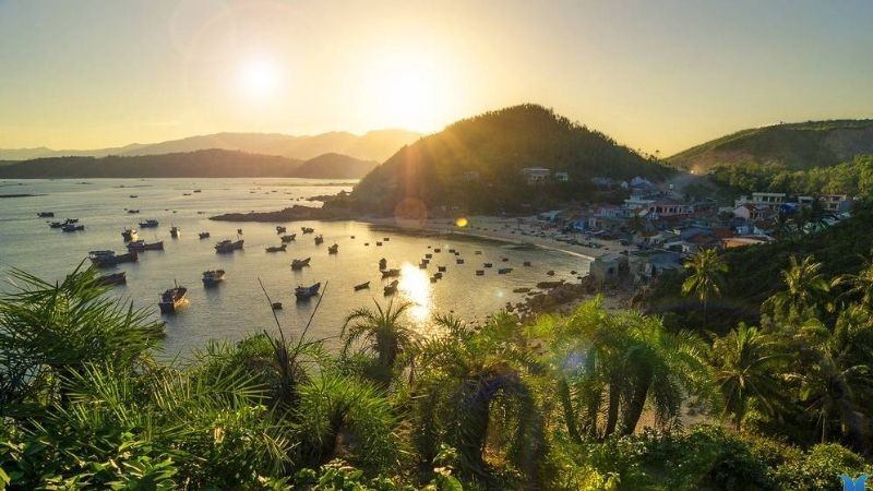 Du khách đến Sông Cầu có thể trải nghiệm các hoạt động bản địa như chèo thuyền thúng, đan lưới, làm bánh tráng thủ công hay thưởng thức hải sản theo mùa. Một số khu nghỉ dưỡng tại đây lựa chọn hướng phát triển hài hòa với thiên nhiên, ưu tiên kiến trúc bản địa, ẩm thực hữu cơ và các hoạt động kết nối văn hóa, tạo nên những kỳ nghỉ có chiều sâu và ý thức. Ảnh Internet