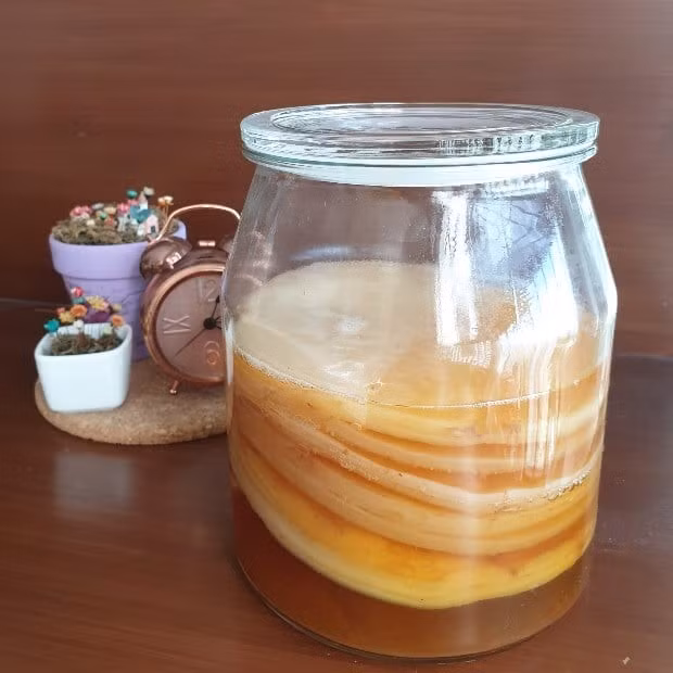 Những người mắc bệnh dạ dày, trào ngược axit hay hội chứng ruột kích thích (IBS) cũng không nên dùng. Kombucha có tính axit cao, dễ gây kích ứng niêm mạc, dẫn đến ợ chua, đầy hơi hoặc buồn nôn. Ảnh minh họa