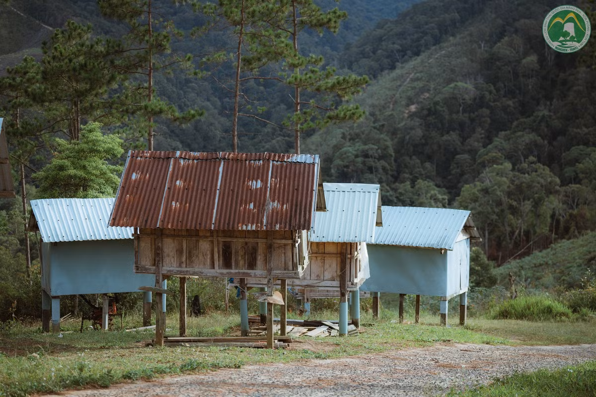 Ảnh Du lịch Măng Đen