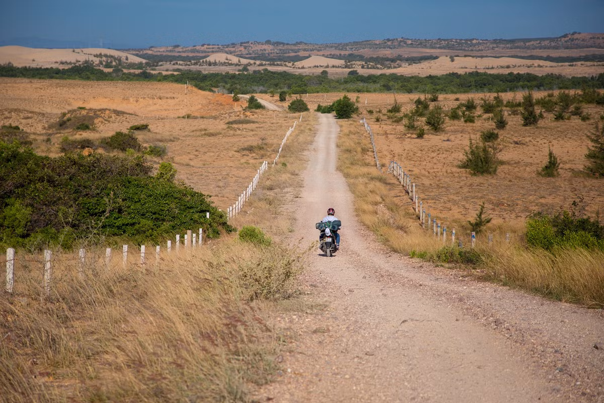 Mũi Yến cách trung tâm thành phố Phan Thiết khoảng 30km về hướng Bắc và chỉ cách Bàu Trắng chừng 4km. Đây là một mũi đá nhô ra biển, bao quanh là những triền cát trắng, rừng phi lao và đại dương xanh ngắt. Chưa có bất kỳ dịch vụ du lịch nào được triển khai tại đây, nên Mũi Yến gần như giữ nguyên trạng – mộc mạc, hoang dã và tuyệt đối yên bình.Ảnh Thanh Tuấn