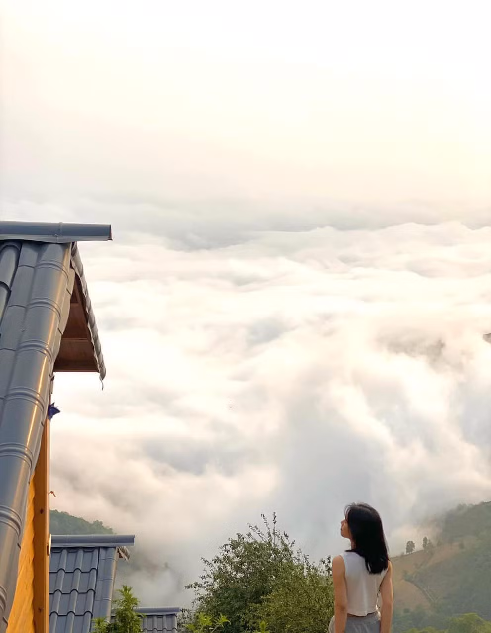 Ngoài ra, đường dốc "săn mây" vào sáng sớm cũng là một trải nghiệm thú vị, khi bạn có cơ hội đứng giữa biển mây mờ ảo, nhìn thấy những dãy núi xa xa chìm trong làn sương mù nhẹ nhàng. Ảnh Mộc