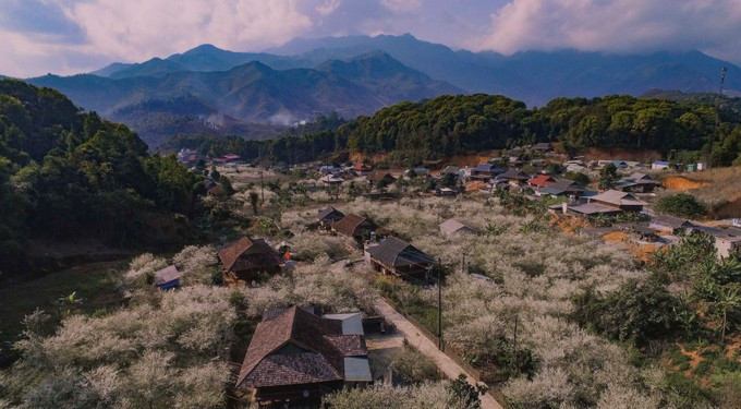 Nhắc đến Điện Biên, nhiều người nhớ tới Chiến thắng Điện Biên Phủ. Bên cạnh đó, mỗi độ cuối tháng 2 – đầu tháng 3, nơi đây còn bước vào mùa hoa ban nở rộ. Sắc trắng, tím nhạt của hoa ban phủ khắp triền núi, con đường, bản làng. Ảnh Xuân Tư