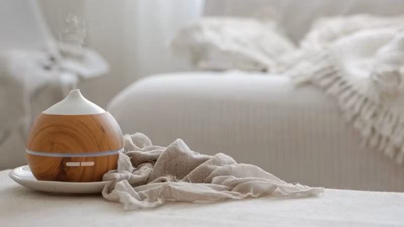 Điều quan trọng là lựa chọn mùi hương nhẹ, thoáng và không quá nồng. Khi được sử dụng đều đặn, mùi hương trở thành một phần của thói quen trước ngủ, giúp cơ thể dễ dàng chuyển sang trạng thái thư thái hơn. Ảnh minh họa