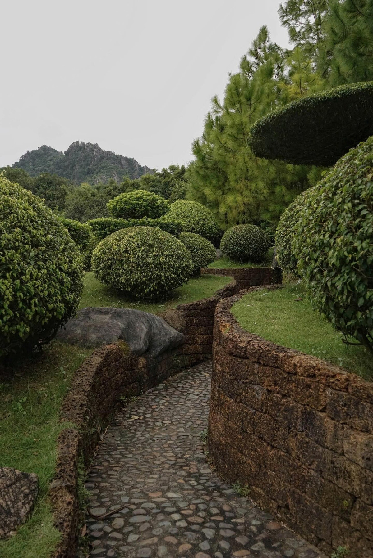 Không chỉ gây ấn tượng bởi kiến trúc, khuôn viên Đan viện Châu Sơn còn được chăm chút như một khu vườn nghệ thuật. Hàng trăm loài cây xanh, hoa lá nhiều màu sắc được trồng và cắt tỉa gọn gàng, hài hòa với cảnh quan tổng thể. Ảnh Thanh Thảo