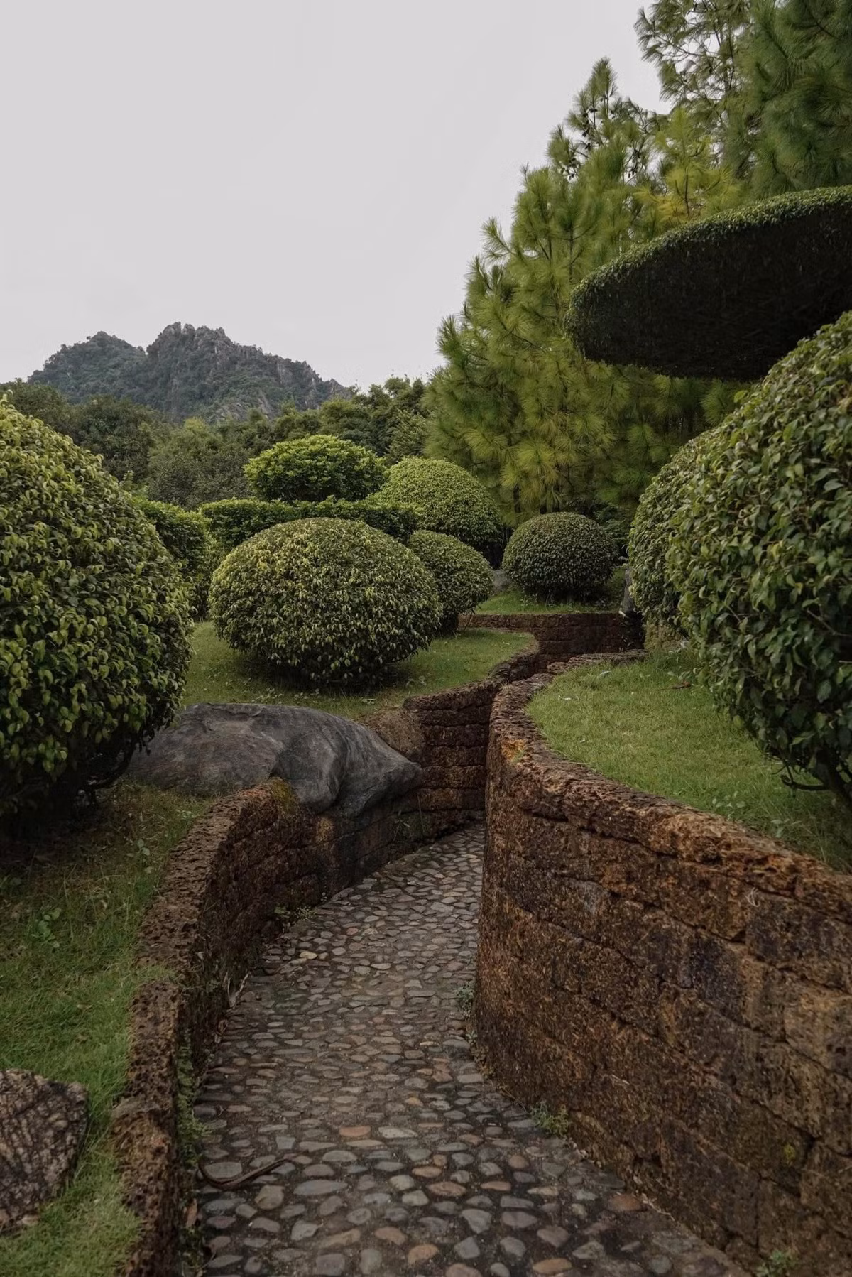 Không chỉ gây ấn tượng bởi kiến trúc, khuôn viên Đan viện Châu Sơn còn được chăm chút như một khu vườn nghệ thuật. Hàng trăm loài cây xanh, hoa lá nhiều màu sắc được trồng và cắt tỉa gọn gàng, hài hòa với cảnh quan tổng thể. Ảnh Thanh Thảo