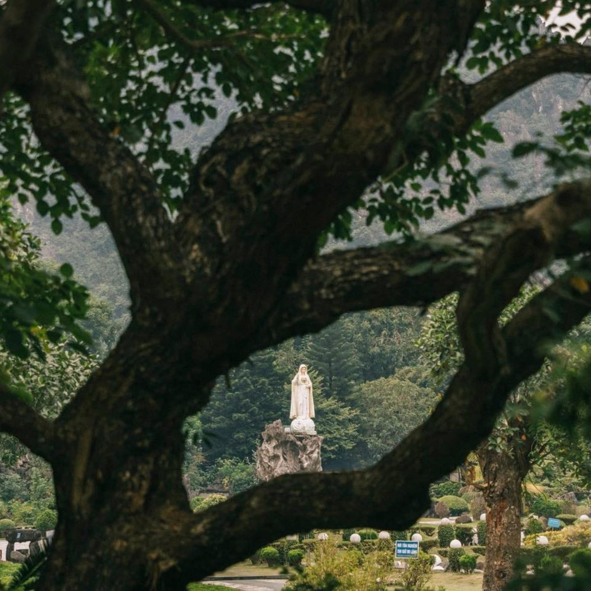 Để có chuyến tham quan trọn vẹn, du khách nên tìm hiểu kỹ thông tin, xác nhận thời gian mở cửa trước khi đến, đồng thời lưu ý giữ gìn trật tự, ăn mặc lịch sự và tôn trọng không gian tâm linh của đan viện.Ảnh Nguyễn Đức Hiếu