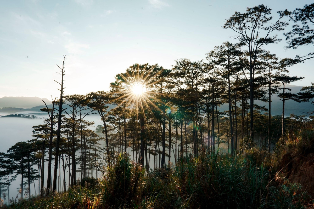 Để có chuyến săn mây trọn vẹn, du khách nên xuất phát từ Đà Lạt từ sáng sớm, di chuyển theo QL27C khoảng 40 km về hướng Ninh Thuận. Thời điểm lý tưởng nhất là từ tháng 11 đến tháng 4 năm sau, khi thời tiết khô ráo, dễ xuất hiện biển mây dày. Do đặc trưng địa hình đồi núi và sương mù dày vào buổi sáng, người lái xe cần chú ý an toàn, chuẩn bị áo ấm vì nhiệt độ khá thấp.